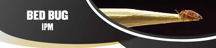 Bed Bugs IPM Banner